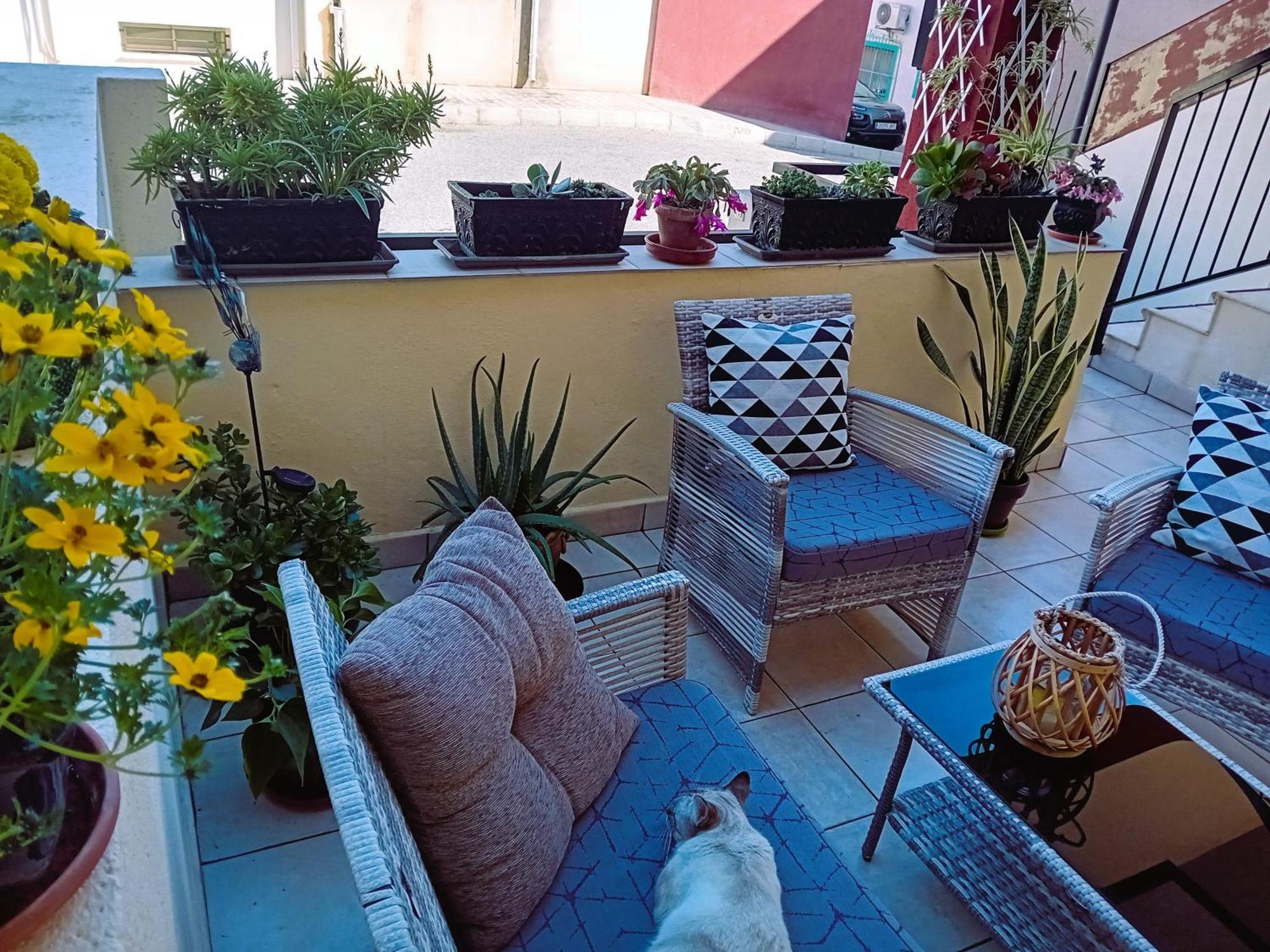 Casa Vikingo Villa San Fulgencio Ngoại thất bức ảnh
