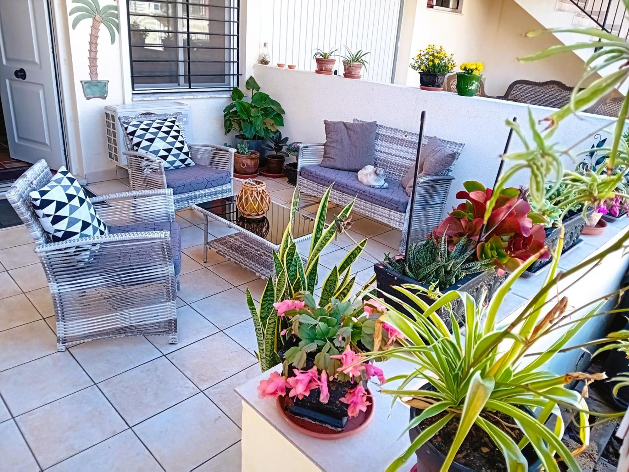 Casa Vikingo Villa San Fulgencio Ngoại thất bức ảnh